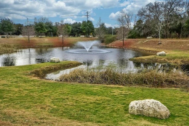 1102 Peyton Pl, Cedar Park, TX 78613 - water view
