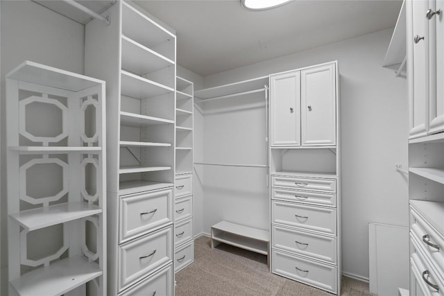 1102 Peyton Pl, Cedar Park, TX 78613 - spacious closet with carpet flooring