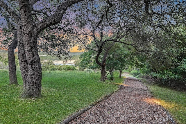 17120 Northlake Hills Dr, Jonestown, TX 78645 - view of green lawn