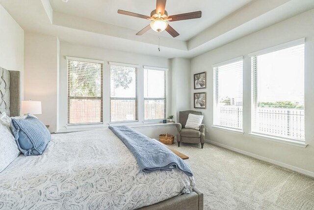 7901 Sunrise Ravine Pass, Lago Vista, TX 78645 - bedroom featuring carpet floors, a raised ceiling, and a ceiling fan