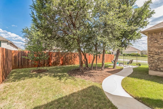 7901 Sunrise Ravine Pass, Lago Vista, TX 78645 - view of yard