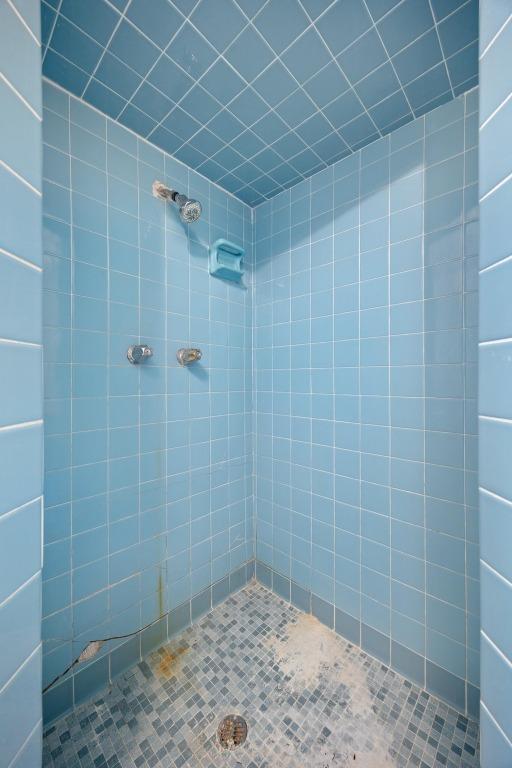 4705 Enchanted Ln, Austin, TX 78745 - bathroom with a tile shower