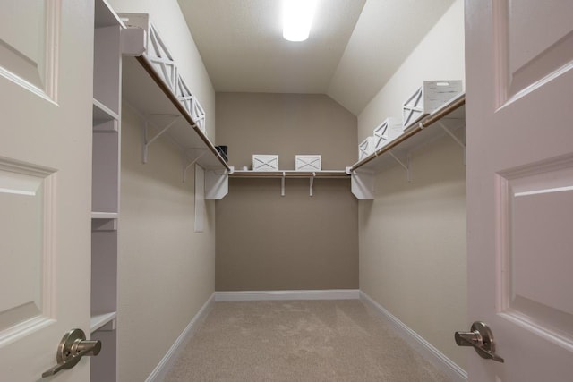 106 Double Eagle Ranch Dr, Cedar Creek, TX 78612 - walk in closet with carpet floors