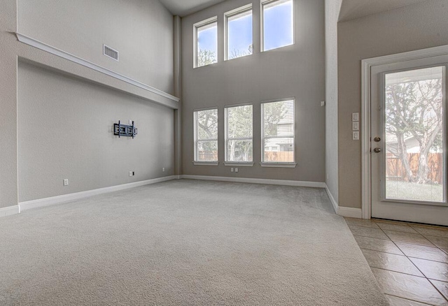 5821 Viejo Dr, Austin, TX 78738 - carpeted entrance foyer with a high ceiling and baseboards