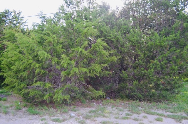 407 Thunderhead St, Spring Branch, TX 78070 - photo 1