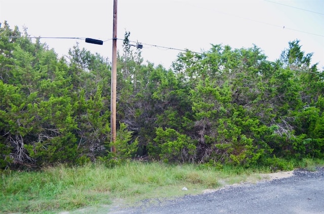 407 Thunderhead St, Spring Branch, TX 78070 - photo 5