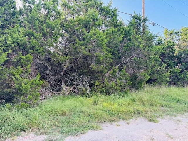 407 Thunderhead St, Spring Branch, TX 78070 - photo 6