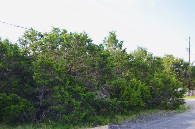 419 Thunderhead St, Spring Branch, TX 78070 - photo 1