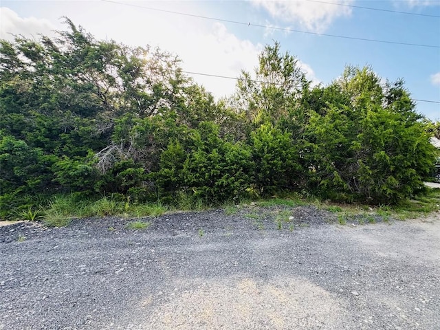 419 Thunderhead St, Spring Branch, TX 78070 - photo 4