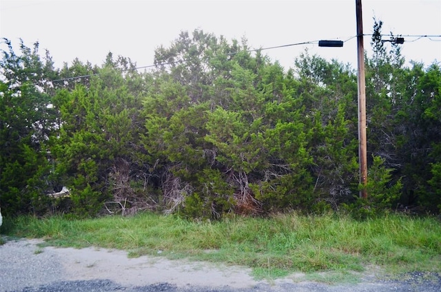 419 Thunderhead St, Spring Branch, TX 78070 - photo 6