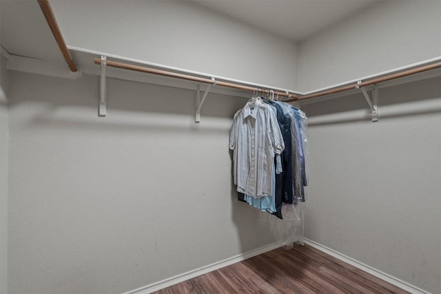 1503 Sherry Dr, Taylor, TX 76574 - spacious closet with wood finished floors
