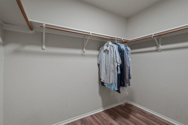 1503 Sherry Dr, Taylor, TX 76574 - spacious closet featuring wood finished floors