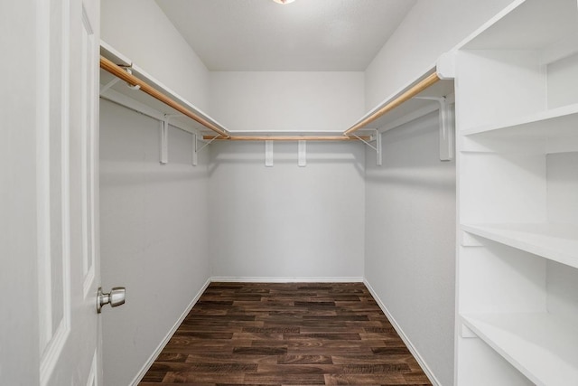 17729 Cahir Glen Cv, Pflugerville, TX 78660 - spacious closet with dark wood finished floors