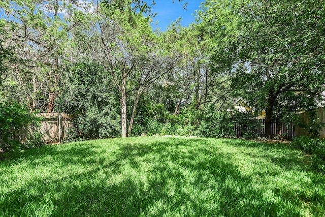 1303UNIT13A N Cuernavaca Dr Unit A13, Austin, TX 78733 - view of yard