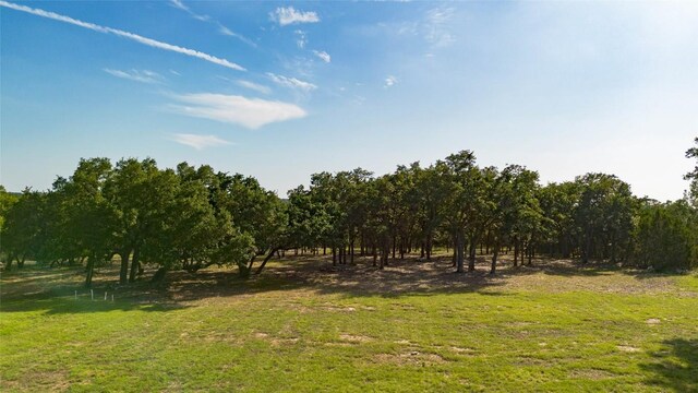 110 Lost River Rd, Georgetown, TX 78628 - view of undeveloped land featuring rural landscape
