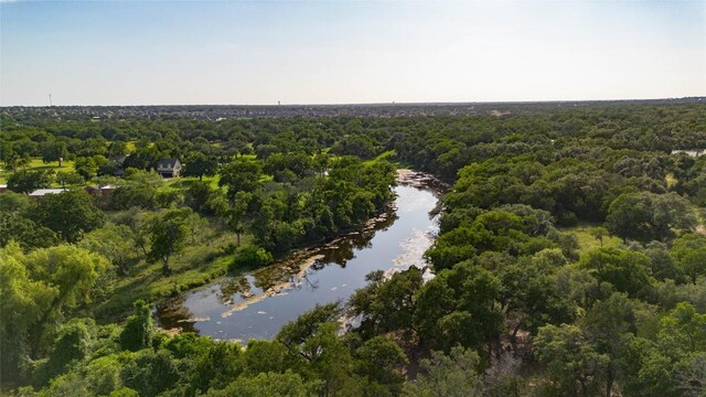 110 Lost River Rd, Georgetown, TX 78628 - aerial view of property and surrounding area with a heavily wooded area and a nearby body of water