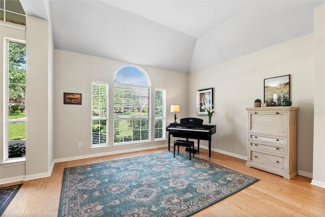 10628 Indigo Broom Loop, Austin, TX 78733 - home office featuring light wood-type flooring and vaulted ceiling