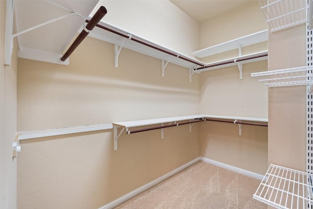 18517 Tanner Bayou Loop, Austin, TX 78738 - walk in closet with carpet floors