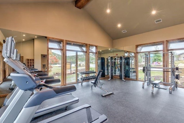 18517 Tanner Bayou Loop, Austin, TX 78738 - gym featuring high vaulted ceiling, beam ceiling, plenty of natural light, and recessed lighting