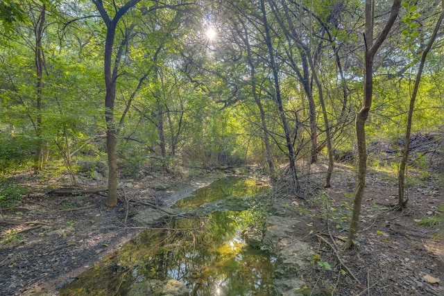 10701 Glass Mountain Trl, Austin, TX 78750 - view of woods
