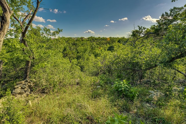 10701 Glass Mountain Trl, Austin, TX 78750 - photo 35