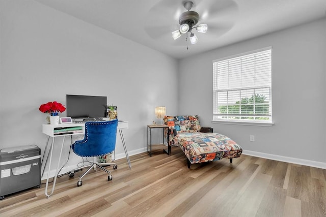 985 Lauren St, New Braunfels, TX 78130 - photo 30