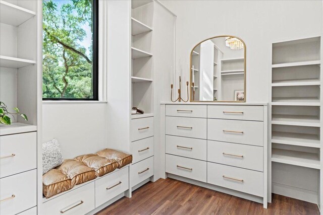 202 Hub Dr, Wimberley, TX 78676 - walk in closet featuring dark wood finished floors and a chandelier
