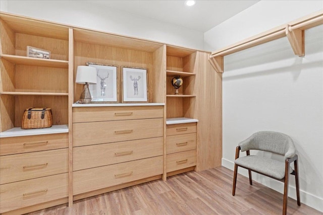 202 Hub Dr, Wimberley, TX 78676 - spacious closet with light wood-type flooring