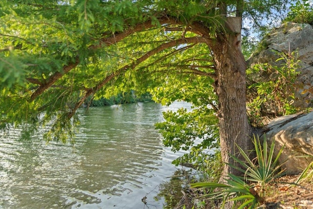 202 Hub Dr, Wimberley, TX 78676 - water view