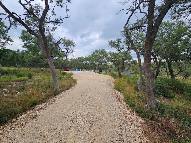 4400 Hilliard Rd, San Marcos, TX 78666 - photo 6