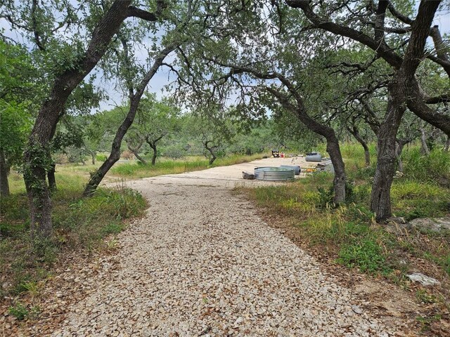 4400 Hilliard Rd, San Marcos, TX 78666 - photo 9