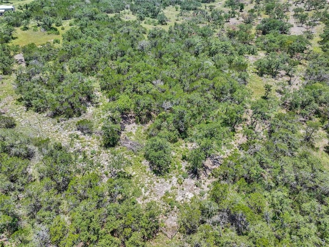 4400 Hilliard Rd, San Marcos, TX 78666 - photo 27