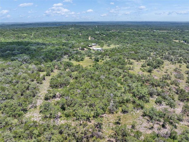 4400 Hilliard Rd, San Marcos, TX 78666 - photo 28