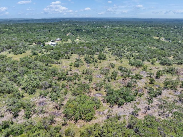 4400 Hilliard Rd, San Marcos, TX 78666 - photo 29