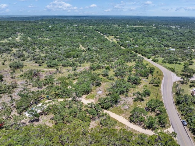 4400 Hilliard Rd, San Marcos, TX 78666 - photo 31