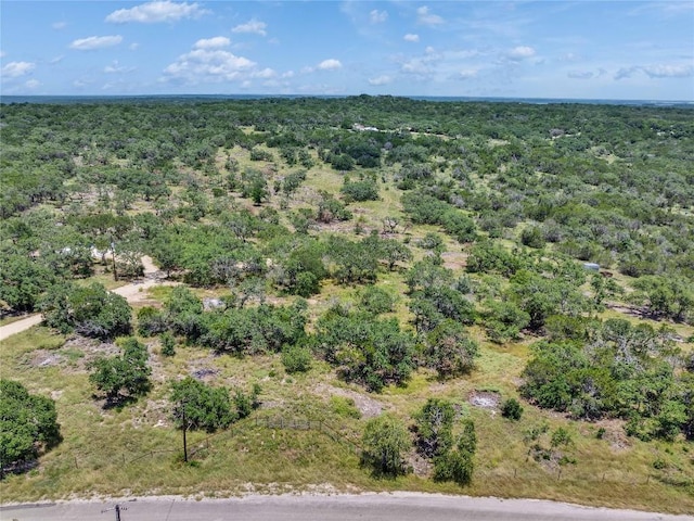 4400 Hilliard Rd, San Marcos, TX 78666 - photo 33