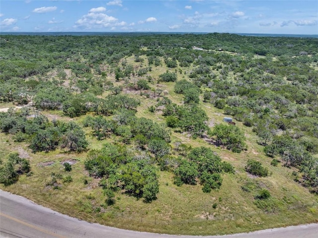 4400 Hilliard Rd, San Marcos, TX 78666 - photo 34