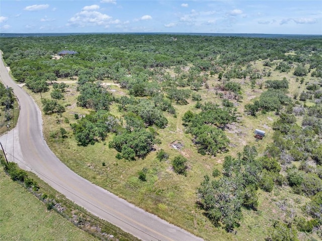 4400 Hilliard Rd, San Marcos, TX 78666 - photo 35