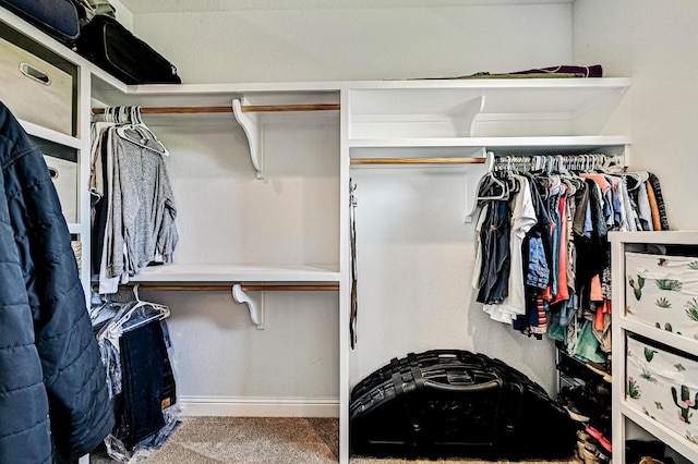 312 First Down Dash, Bertram, TX 78611 - view of spacious closet