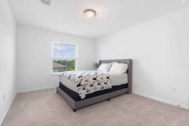 232 Manassas Dr, Leander, TX 78641 - photo 20