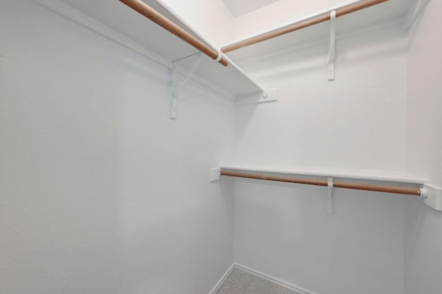 402 Colonial Park Blvd, Austin, TX 78745 - spacious closet with carpet floors