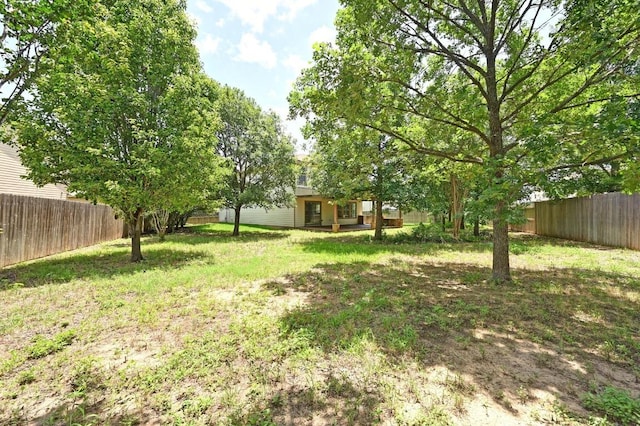 131 Olson Cv, Kyle, TX 78640 - photo 25