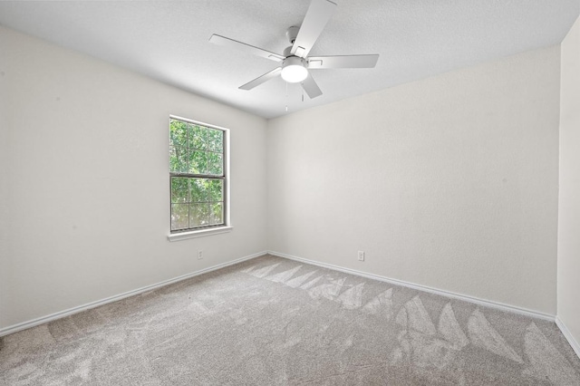 131 Olson Cv, Kyle, TX 78640 - photo 20