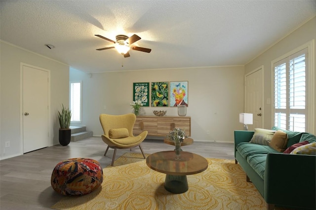 6718 Silvermine Dr Unit 201, Austin, TX 78736 - living room with healthy amount of natural light, ceiling fan, wood finished floors, ornamental molding, and a textured ceiling