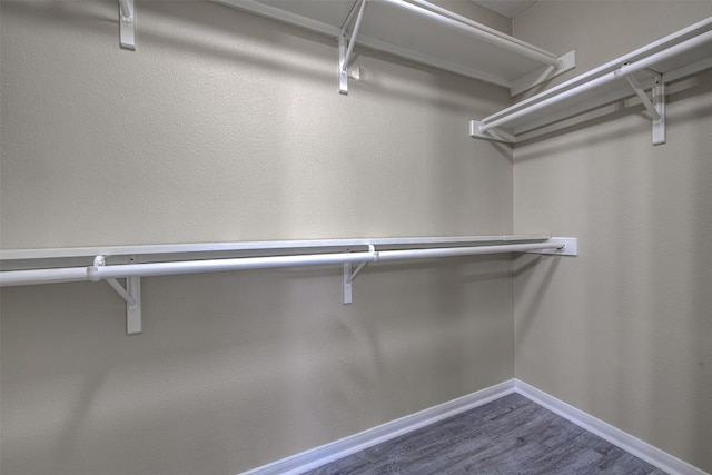 430 Zebra Dr, Kyle, TX 78640 - walk in closet with dark wood-style flooring