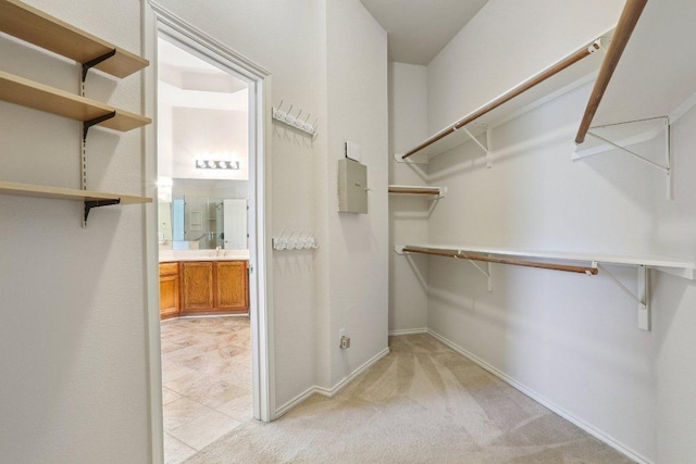 411 S Lynnwood Trl, Cedar Park, TX 78613 - spacious closet with light carpet