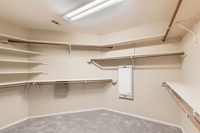 2628 Bolton St, Austin, TX 78748 - walk in closet featuring carpet floors
