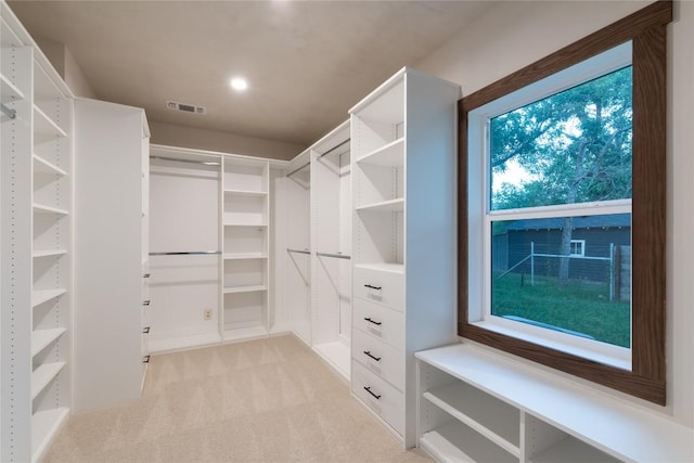 318 W Hackberry St, Fredericksburg, TX 78624 - walk in closet with light carpet