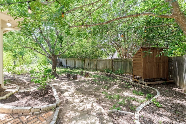 16704 Shipshaw River Cv, Leander, TX 78641 - fenced backyard with a storage unit