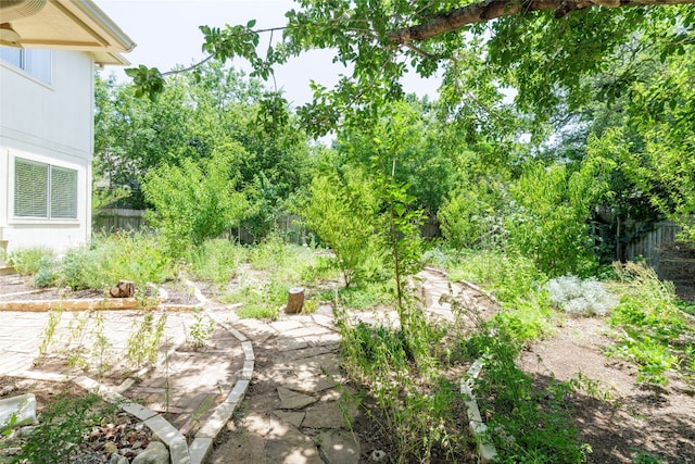 16704 Shipshaw River Cv, Leander, TX 78641 - view of yard featuring a patio area